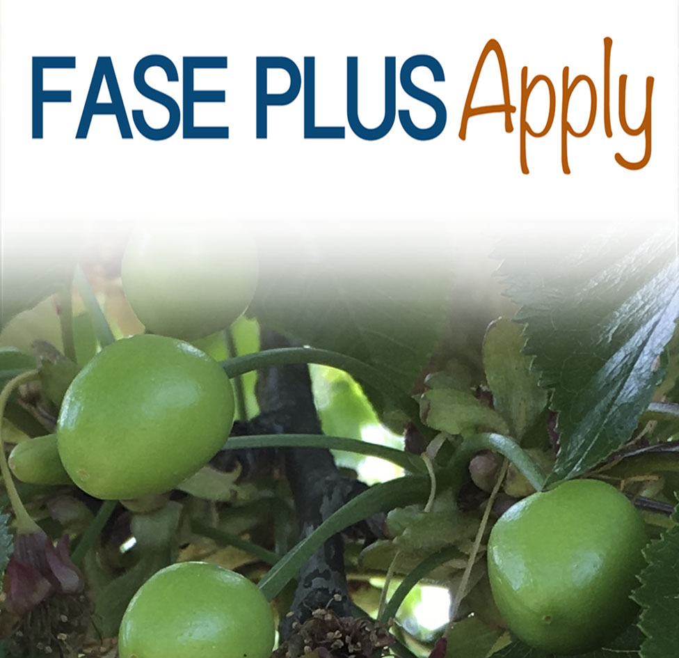 FASE 1 PLUS-Apply COD: N-007